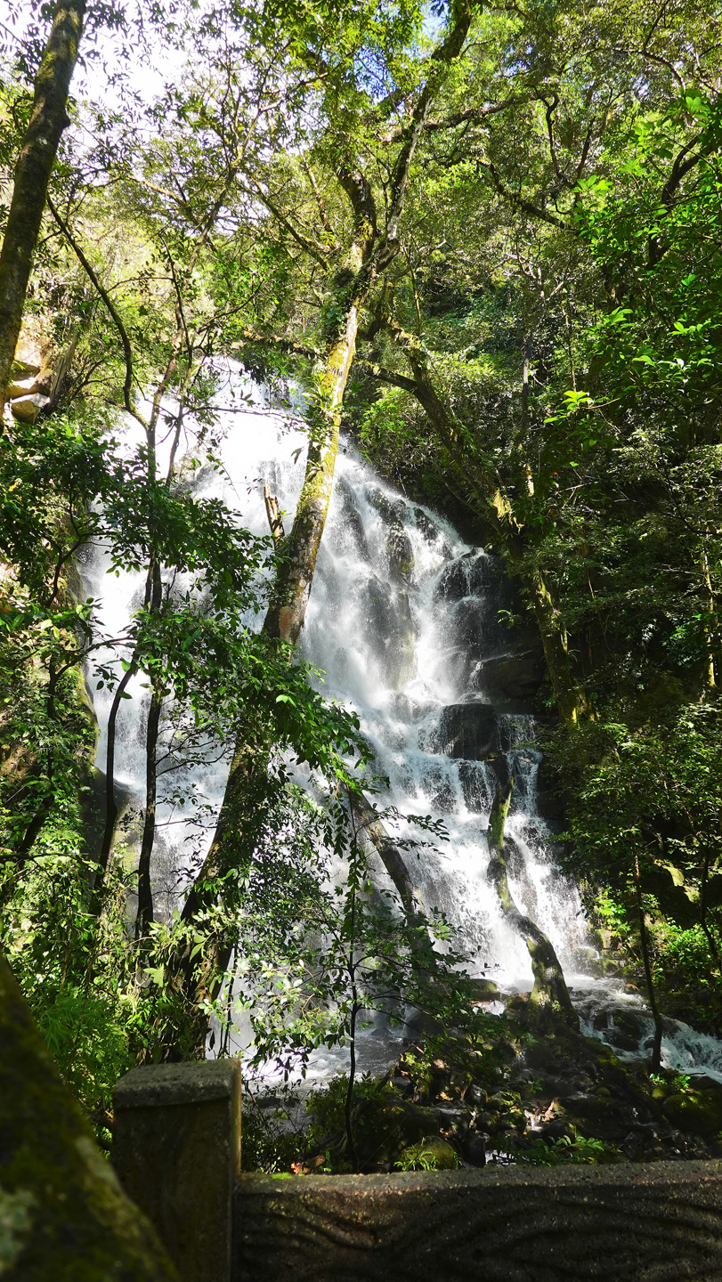 Wasserfall im Parque Nacional Rincón de la Vieja